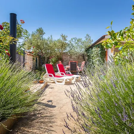 Holiday home Gorgeous In With House Sea View *